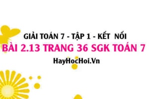 Bài 2.13 SGK Toán 7 tập 1 Kết nối tri thức